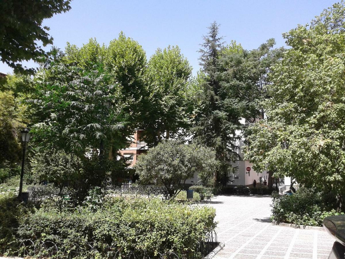 Apartamento Catedral Centro Granada Exteriör bild